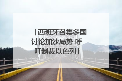 西班牙召集多国讨论加沙局势 呼吁制裁以色列