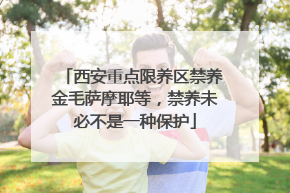 西安重点限养区禁养金毛萨摩耶等，禁养未必不是一种保护