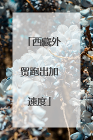 西藏外贸跑出加速度