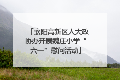 襄阳高新区人大政协办开展魏庄小学“六一”慰问活动
