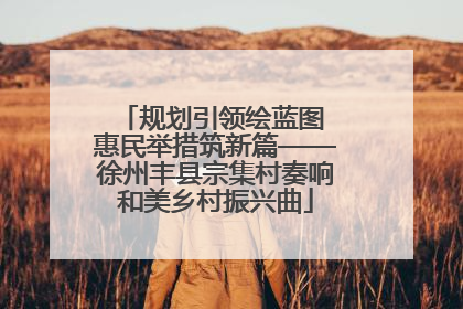 规划引领绘蓝图 惠民举措筑新篇——徐州丰县宗集村奏响和美乡村振兴曲