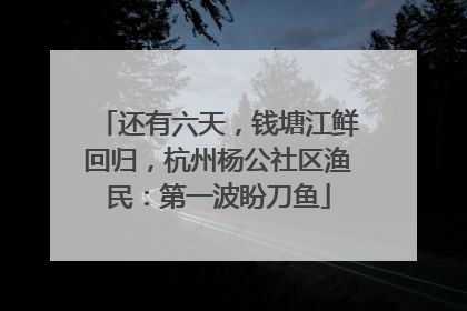 还有六天，钱塘江鲜回归，杭州杨公社区渔民：第一波盼刀鱼