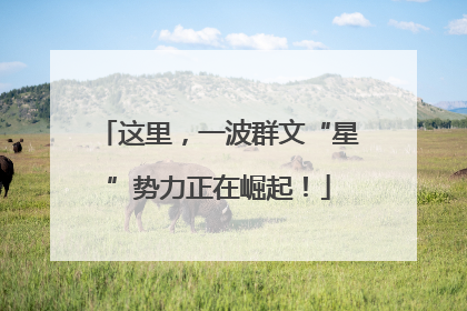 这里，一波群文“星”势力正在崛起！