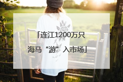 连江1200万只海马“游”入市场