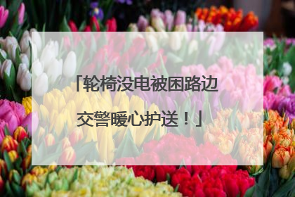 轮椅没电被困路边 交警暖心护送！