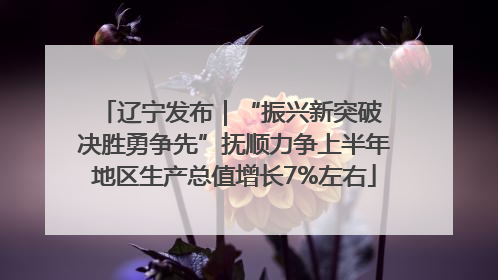 辽宁发布｜“振兴新突破 决胜勇争先”抚顺力争上半年地区生产总值增长7%左右