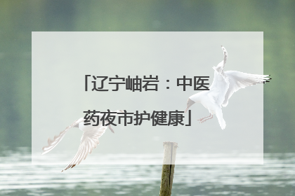 辽宁岫岩：中医药夜市护健康