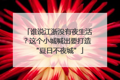 谁说江浙没有夜生活？这个小城喊出要打造“夏日不夜城”
