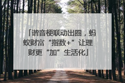 谐音梗联动出圈，蚂蚁财富“指数+”让理财更“加”生活化