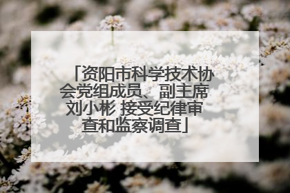 资阳市科学技术协会党组成员、副主席刘小彬 接受纪律审查和监察调查