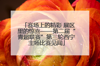 赛场上的精彩 展区里的惊喜——第二届“青超联赛”第三轮西宁主场比赛见闻
