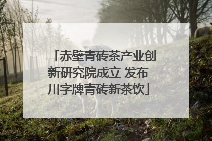 赤壁青砖茶产业创新研究院成立 发布川字牌青砖新茶饮