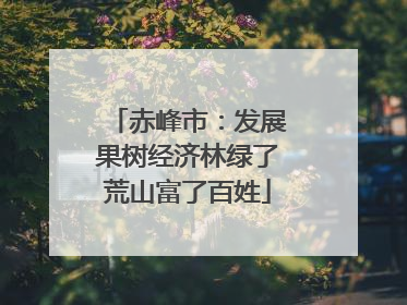 赤峰市：发展果树经济林绿了荒山富了百姓
