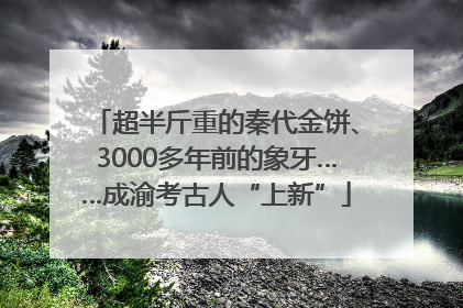 超半斤重的秦代金饼、3000多年前的象牙……成渝考古人“上新”