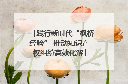 践行新时代“枫桥经验” 推动知识产权纠纷高效化解