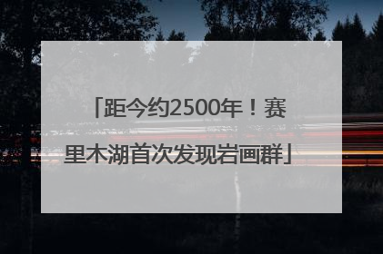 距今约2500年！赛里木湖首次发现岩画群