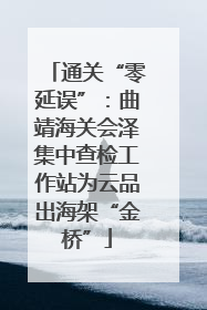 通关“零延误”：曲靖海关会泽集中查检工作站为云品出海架“金桥”