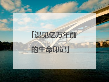 遇见亿万年前的生命印记