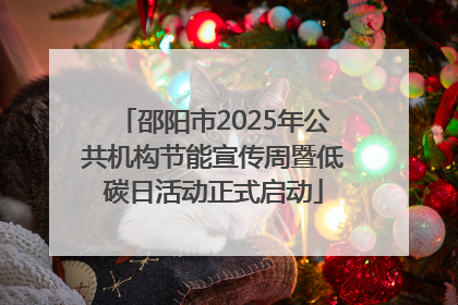 邵阳市2025年公共机构节能宣传周暨低碳日活动正式启动