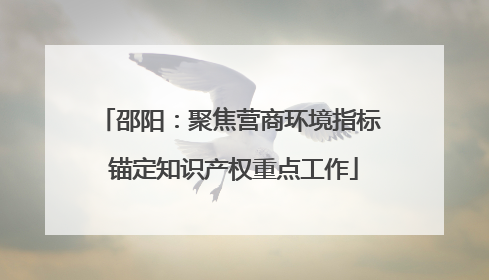 邵阳：聚焦营商环境指标 锚定知识产权重点工作