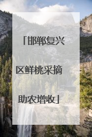 邯郸复兴区鲜桃采摘助农增收