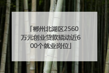 郴州北湖区2560万元创业贷款撬动近600个就业岗位