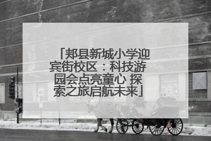 郏县新城小学迎宾街校区：科技游园会点亮童心 探索之旅启航未来