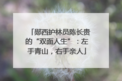 郧西护林员陈长贵的“双面人生”：左手青山，右手亲人