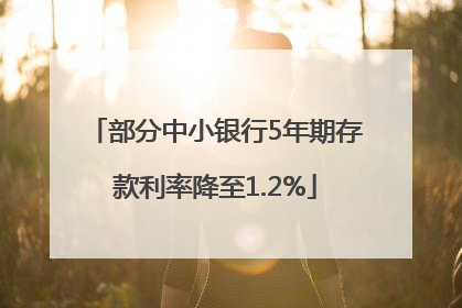部分中小银行5年期存款利率降至1.2%