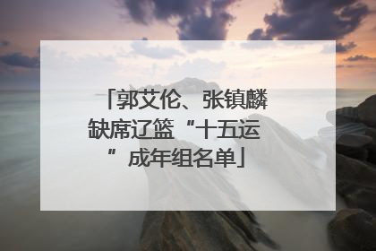 郭艾伦、张镇麟缺席辽篮“十五运”成年组名单