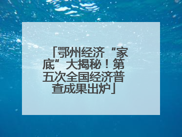鄂州经济“家底”大揭秘！第五次全国经济普查成果出炉