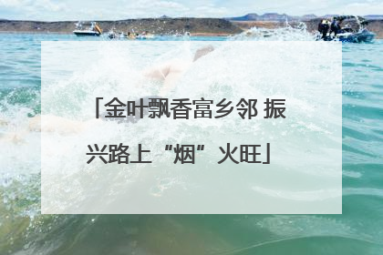 金叶飘香富乡邻 振兴路上“烟”火旺