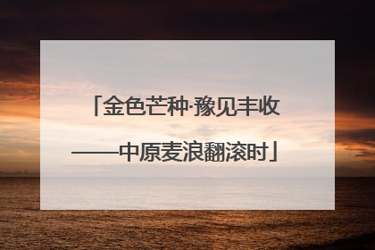 金色芒种·豫见丰收——中原麦浪翻滚时