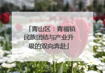 青山区：青福镇民族团结与产业升级的双向奔赴
