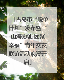 青岛市“脱单计划”发布暨“山海为证 团聚幸福”青年交友联谊活动浪漫开启
