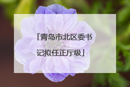 青岛市北区委书记拟任正厅级
