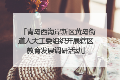 青岛西海岸新区黄岛街道人大工委组织开展辖区教育发展调研活动