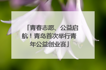 青春志愿、公益启航！青岛首次举行青年公益创业赛