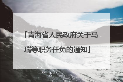 青海省人民政府关于马瑞等职务任免的通知