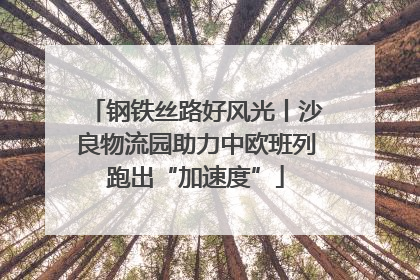 钢铁丝路好风光丨沙良物流园助力中欧班列跑出“加速度”