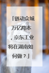 链动众城 万亿降本，京东工业将在湖南如何做？