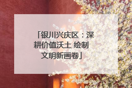 银川兴庆区：深耕价值沃土 绘制文明新画卷