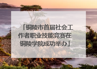 铜陵市首届社会工作者职业技能竞赛在铜陵学院成功举办