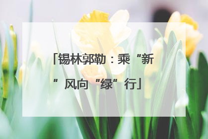 锡林郭勒：乘“新”风向“绿”行