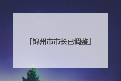 锦州市市长已调整