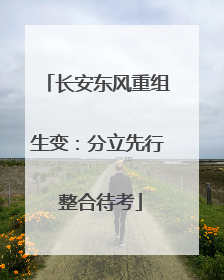 长安东风重组生变：分立先行 整合待考