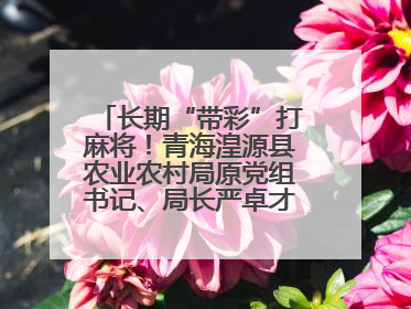 长期“带彩”打麻将！青海湟源县农业农村局原党组书记、局长严卓才被“双开”