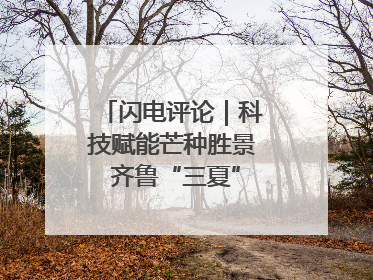 闪电评论｜科技赋能芒种胜景 齐鲁“三夏”画卷更壮美