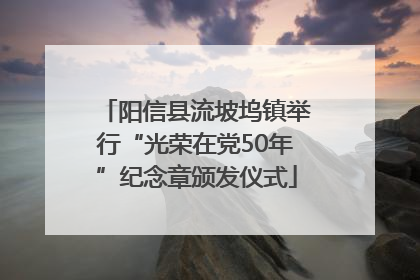 阳信县流坡坞镇举行“光荣在党50年”纪念章颁发仪式