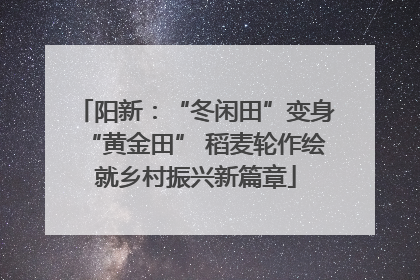 阳新：“冬闲田”变身“黄金田” 稻麦轮作绘就乡村振兴新篇章